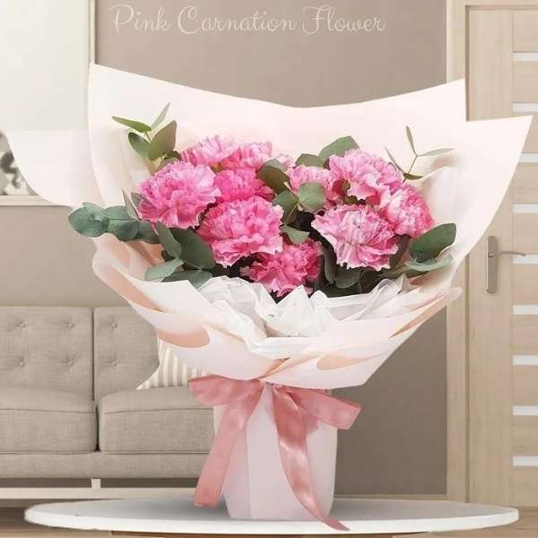 pink carnation flower meaning