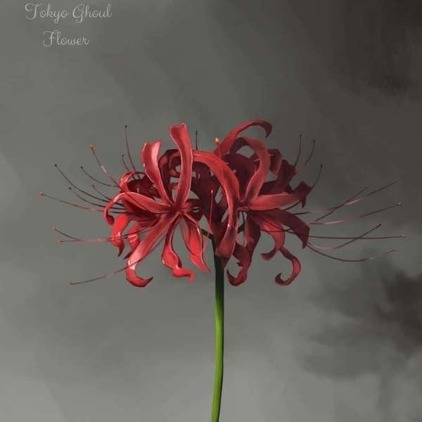 tokyo ghoul flower meaning